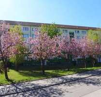 Wohnung zum Mieten in Limbach-Oberfrohna 325,00 € 56.77 m²