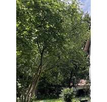 Grundstück zu verkaufen in Gräfelfing 1.990.000,00 € 1254 m²