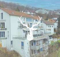 Wohnung zum Kaufen in Waldshut 150.000,00 € 55 m²