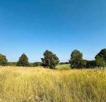 Grundstück zu verkaufen in Brüel 98.000,00 € 1037 m²