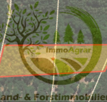 Grundstück in Wald-Michelbach 39.900,00 € 11569 m²