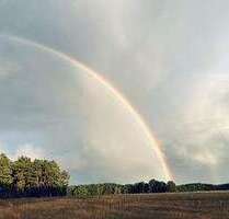 Haus zum Kaufen in Velten 430.831,00 € 120 m²