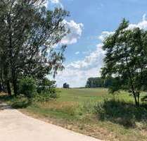 Grundstück zu verkaufen in Ramin 49.950,00 € 1611 m²