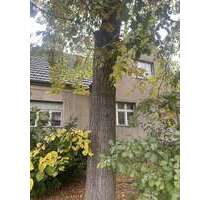 Haus zum Kaufen in Mahlow 339.997,00 € 170 m²