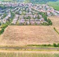 Grundstück zu verkaufen in Wachenheim 429.250,00 € 505 m²
