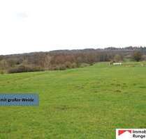 Haus zum Kaufen in Auetal 465.000,00 € 350 m²