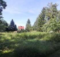 Grundstück zu verkaufen in Dessau-Roßlau-Mosigkau 48.000,00 € 955 m²