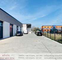 Halle in Oberkrämer Vehlefanz 2.975,00 € 159 m² - Oberkrämer / Vehlefanz