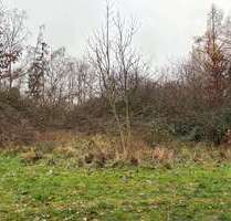 Grundstück zu verkaufen in Dannenfels 6.990,00 € 995 m²