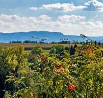 Haus zum Kaufen in Adelberg 725.000,00 € 191.58 m²