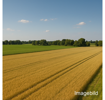 Grundstück in Heiligengrabe 2.700,00 € 41913 m²