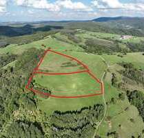 Grundstück in Schweisweiler 38.900,00 € 69936 m²