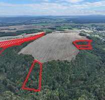 Grundstück in Bahretal 19.900,00 € 30957 m²