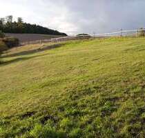 Grundstück zu verkaufen in Willebadessen 80.000,00 € 6979 m²