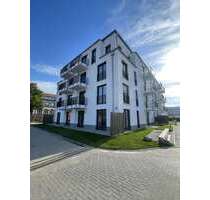 Wohnung zum Mieten in Greifswald 920,00 € 65.9 m²