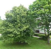 Wohnung zum Mieten in Gelsenkirchen 399,00 € 49.69 m²