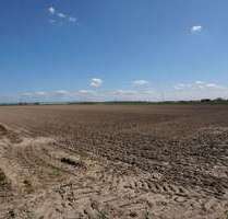 Grundstück in Mutterstadt 104.000,00 € 7950 m²