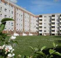Wohnung zum Mieten in Stralsund 477,18 € 79.53 m²