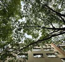 Wohnung zum Mieten in Berlin 699,00 € 25.3 m²