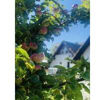 Wohnung zum Kaufen in Lobbe 59.000,00 € 29 m²