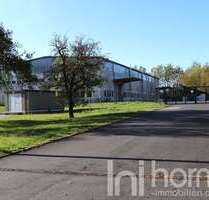 Halle in Oderwitz 5.680,00 € 1800 m²