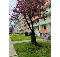 Wohnung zum Mieten in Magdeburg 347,57 € 56.06 m²