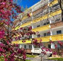 Wohnung zum Mieten in Zwickau 238,00 € 41 m²