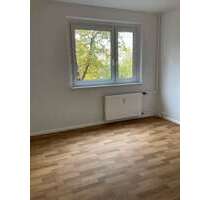 Wohnung zum Mieten in Erfurt 310,00 € 44.13 m²