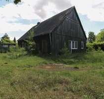 Grundstück zu verkaufen in Eldingen 65.000,00 € 1317.01 m²