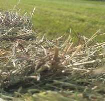 Grundstück in Erdweg 75.700,00 € 12616 m²