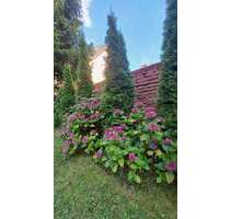 Haus zum Kaufen in Mülheim an der Ruhr 675.000,00 € 200 m²