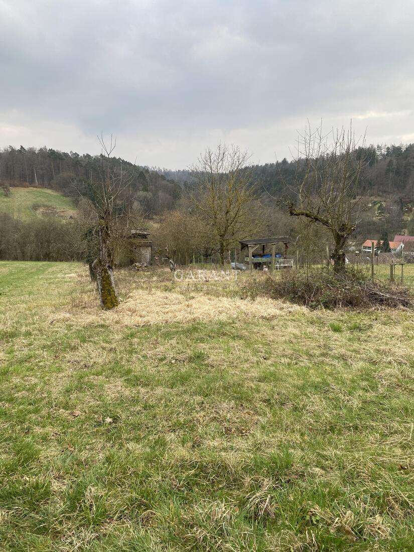 Grundstück zu verkaufen in Weinstadt-Baach 20.000,00 € 1077 m²