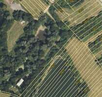 Grundstück in Leimen 78.000,00 € 876 m²