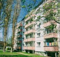 Wohnung zum Mieten in Prenzlau 340,00 € 49.57 m²