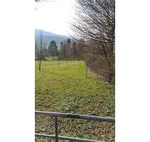 Grundstück zu verkaufen in Horn-Bad Meinberg 180.000,00 € 980 m²