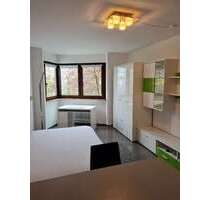 Wohnung zum Mieten in Mainz 380,00 € 23 m²