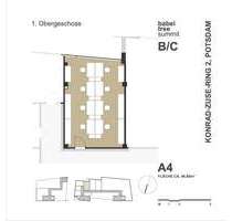 Büro in Potsdam 900,00 € 47 m² - 900,00 EUR Kaltmiete, ca.  47,00 m² in Potsdam (PLZ: 14469)