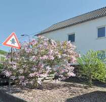 Haus zum Kaufen in Prüm 386.000,00 € 235 m²