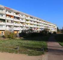 Wohnung zum Mieten in Dessau-Roßlau 250,00 € 39.64 m²