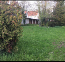 Grundstück zu verkaufen in Alzenau 219.800,00 € 382 m²