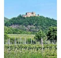 Haus zum Kaufen in Maikammer 920.000,00 € 259 m²