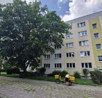 Wohnung zum Mieten in Magdeburg 305,00 € 41 m²