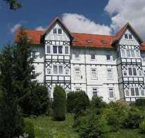 Wohnung zum Mieten in Wernigerode 250,00 € 25 m²