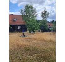 Grundstück zu verkaufen in Beelitz Heilstätten 199.000,00 € 761 m²