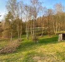 Grundstück zu verkaufen in Flossenbürg 53.000,00 € 2980 m²