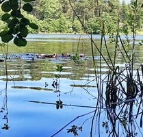 Wochenendgrundstück mit direktem Seezugang - am Elsensee in Grünheide (Mark)