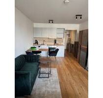 Modern möblierte 1-Zimmer-Wohnung in ruhiger Lage - Fürth Stadeln 175