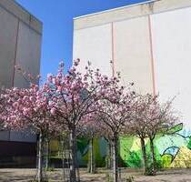 Familiennest sucht neue Bewohner - Gotha