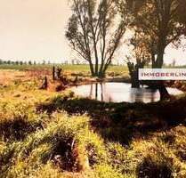 25.000,00 EUR Kaufpreis, ca.  0,00 m² in Marlow (PLZ: 18337) Neu Guthendorf