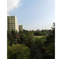 Helle und gut geschnittene Wohnung mit Einbauküche sucht neue Eigentümer!! - Ludwigshafen am Rhein Pfingstweide